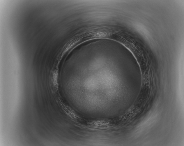 X0000116450146200912081625