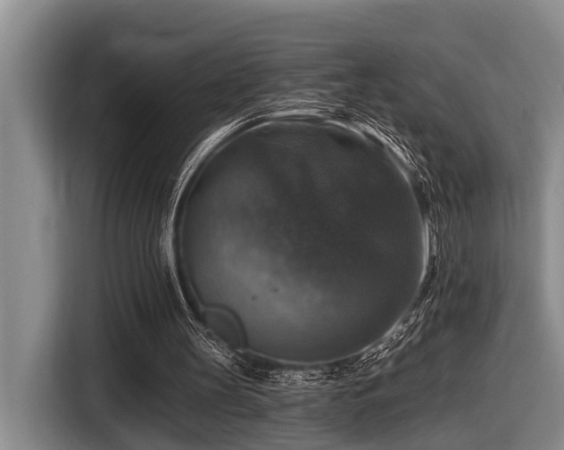 X0000116450147200912081625