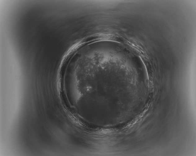 X0000116450149200912081625