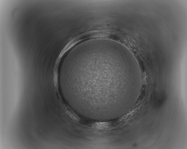 X0000116450150200912081625