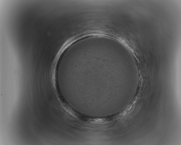 X0000116450151200912081625