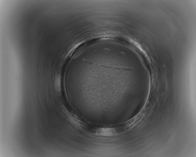 X0000116450154200912081625