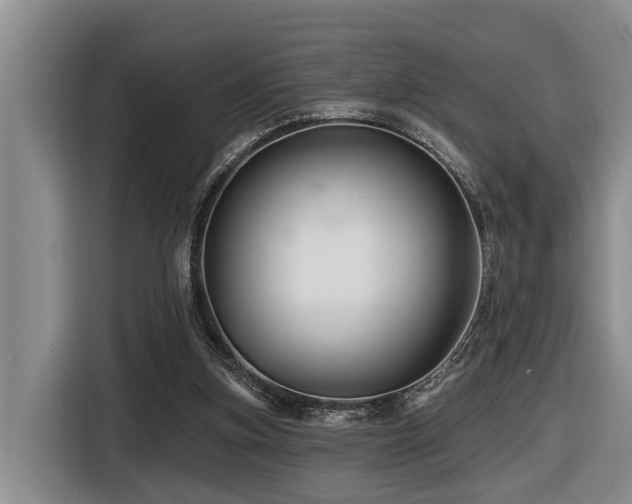 X0000116450155200912081625