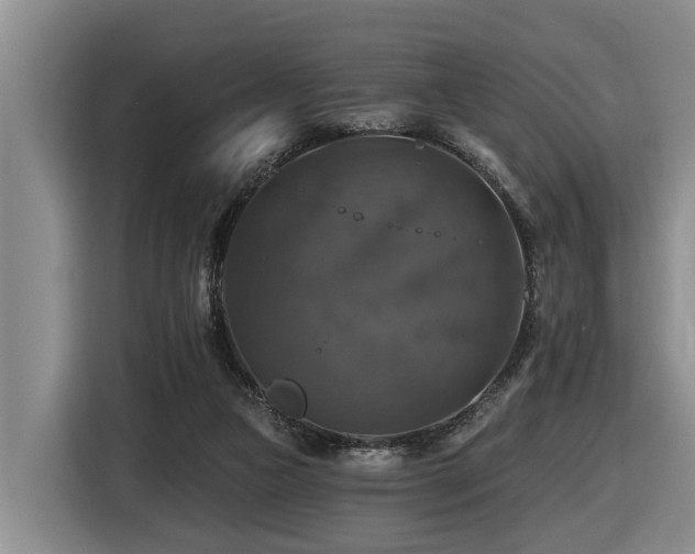 X0000116450161200912081625