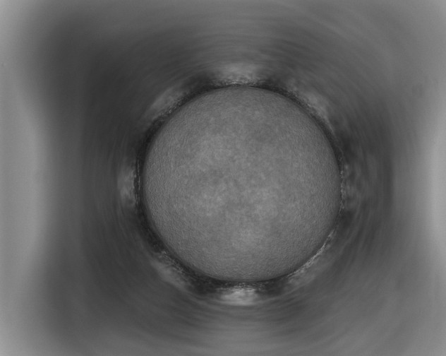 X0000116450162200912081625