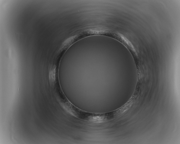 X0000116450163200912081625