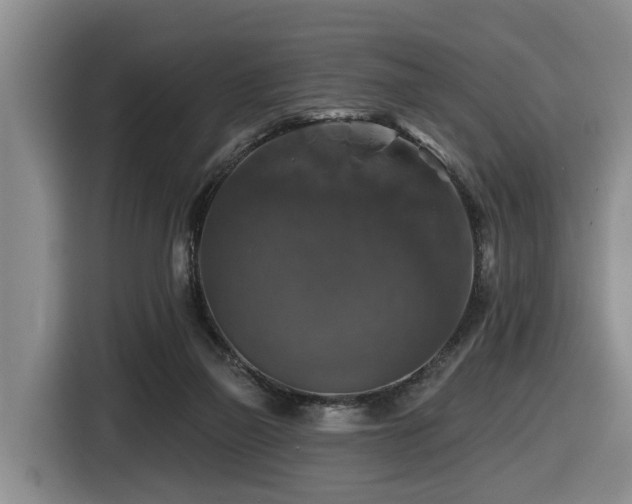 X0000116450165200912081625