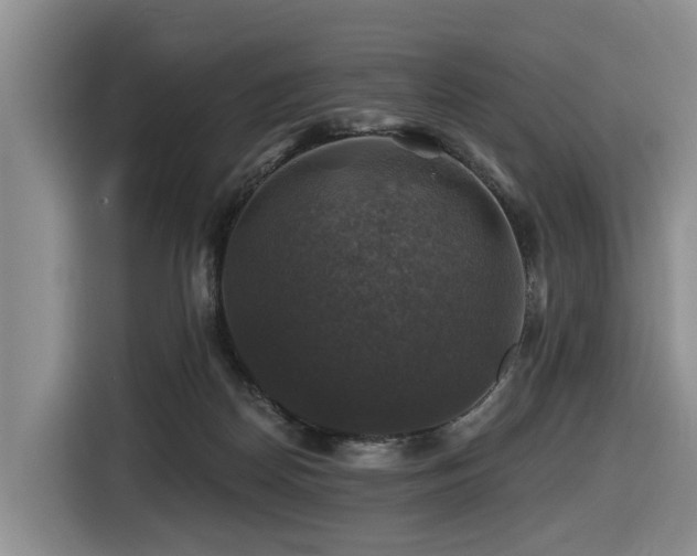 X0000116450170200912081625