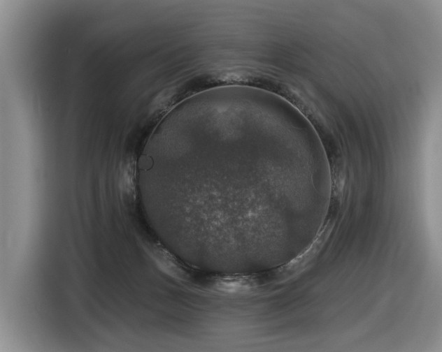 X0000116450175200912081625