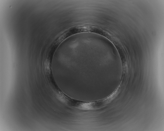 X0000116450178200912081625