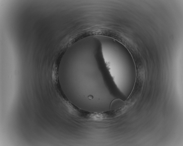 X0000116450181200912081625