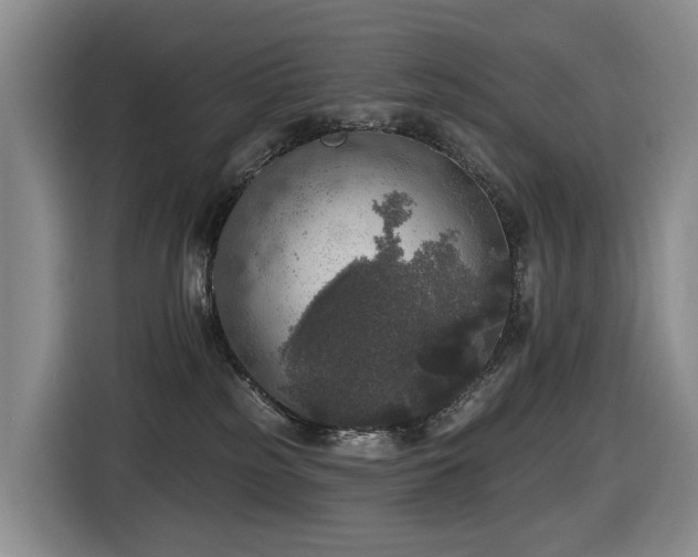 X0000116450185200912081626