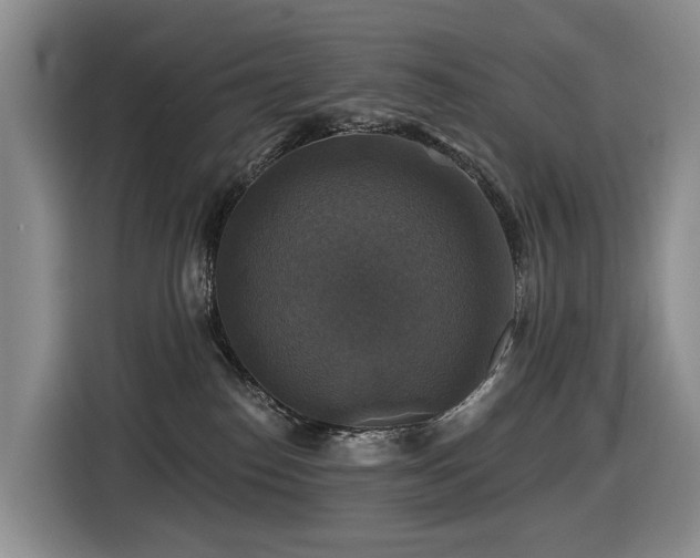 X0000116450186200912081626