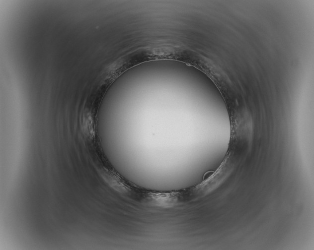 X0000116450187200912081626