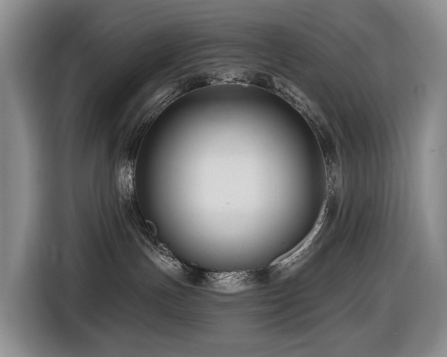 X0000116450191200912081626