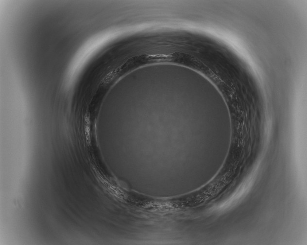 X0000116450194200912081625