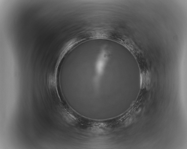 X0000116450195200912081625