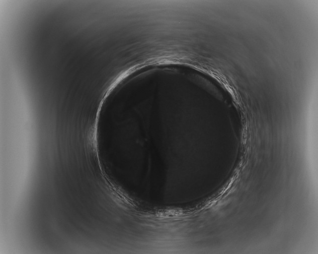 X0000116450196200912081625