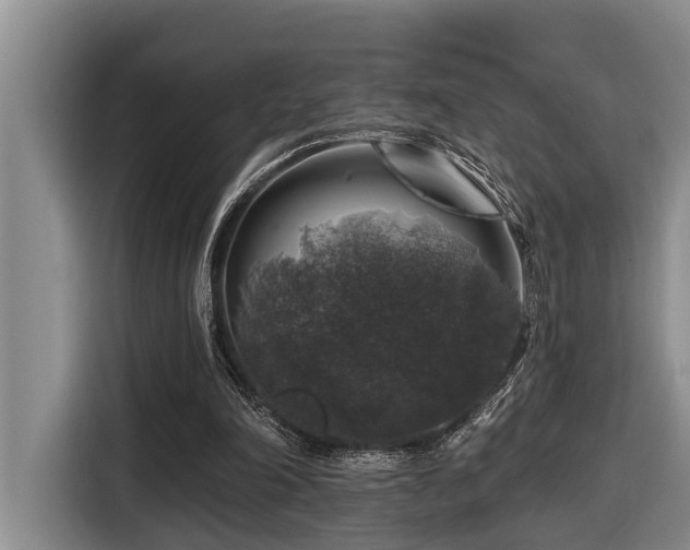 X0000116450198200912081625