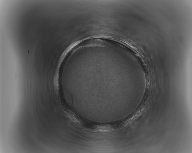 X0000116450200200912081625