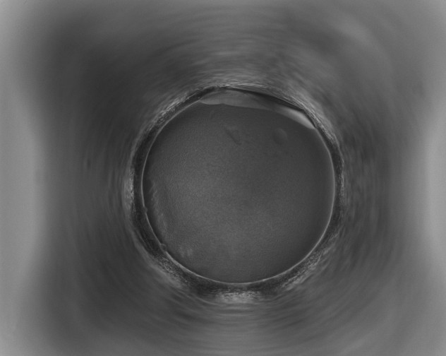 X0000116450202200912081625