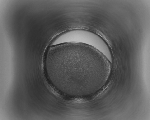 X0000116450203200912081625