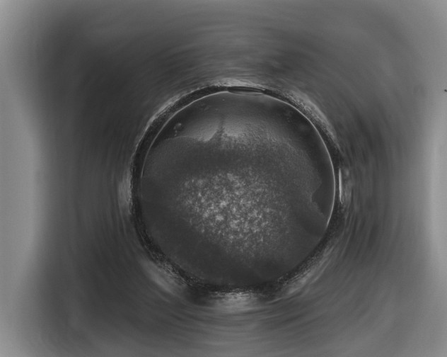 X0000116450204200912081625