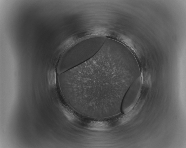 X0000116450205200912081625