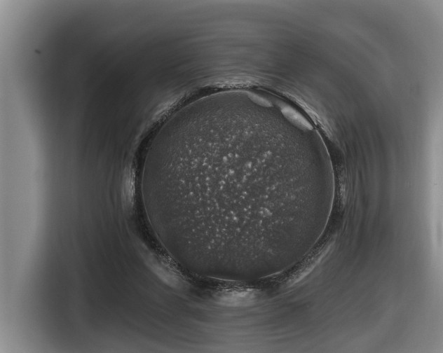 X0000116450206200912081625