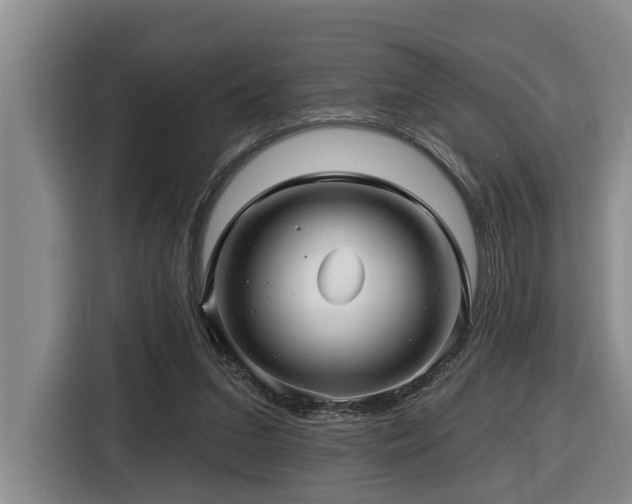 X0000116450207200912081625