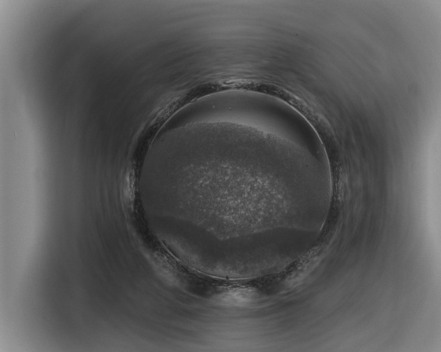 X0000116450210200912081625