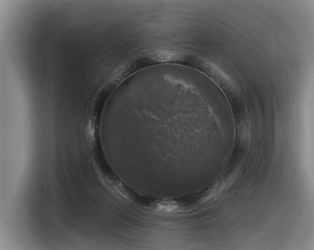 X0000116450214200912081625