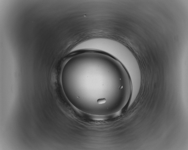 X0000116450215200912081625