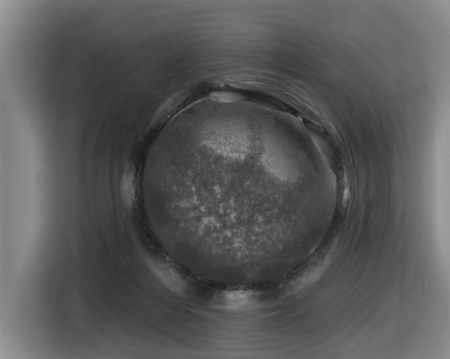 X0000116450216200912081625