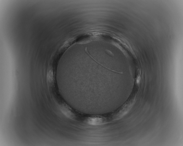 X0000116450220200912081625