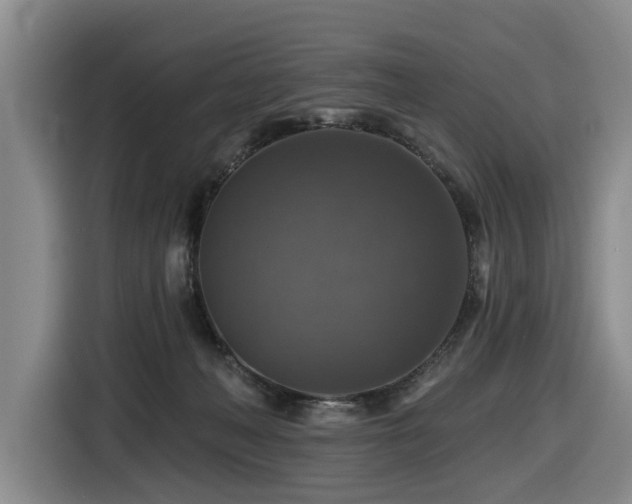 X0000116450222200912081625