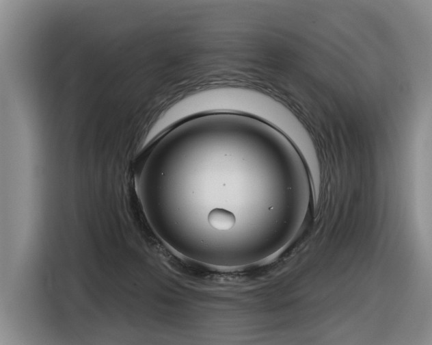 X0000116450223200912081625
