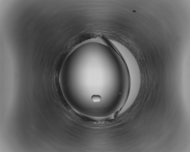 X0000116450225200912081625