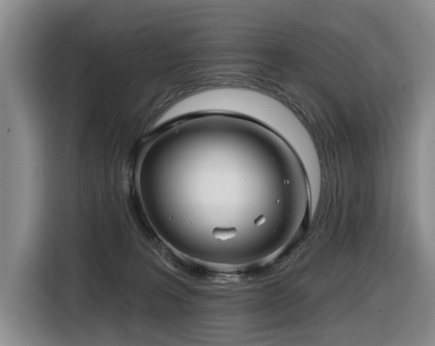 X0000116450227200912081625