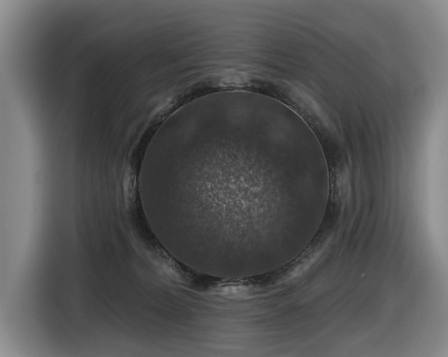 X0000116450228200912081625