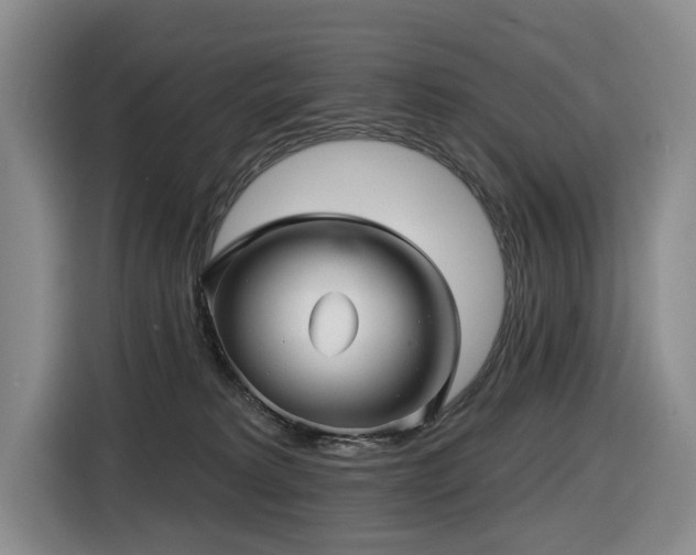 X0000116450229200912081624