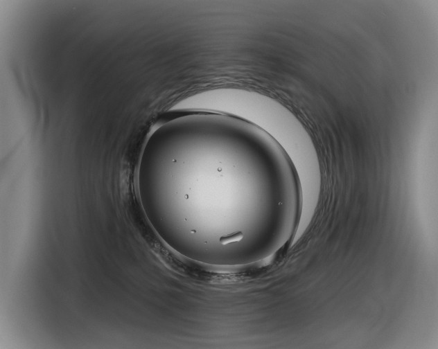 X0000116450231200912081624