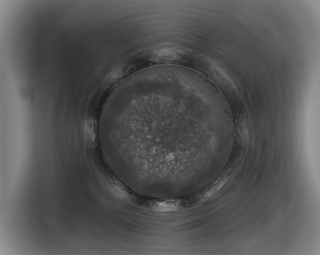 X0000116450232200912081624