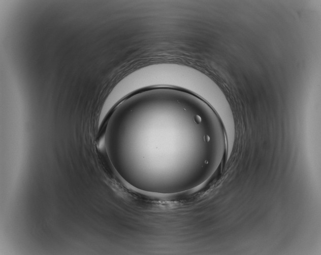 X0000116450233200912081624