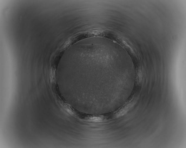 X0000116450236200912081624