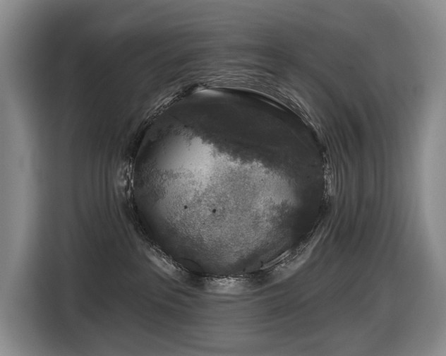 X0000116450237200912081624