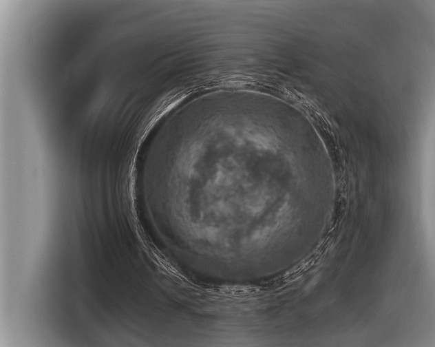 X0000116450242200912081624