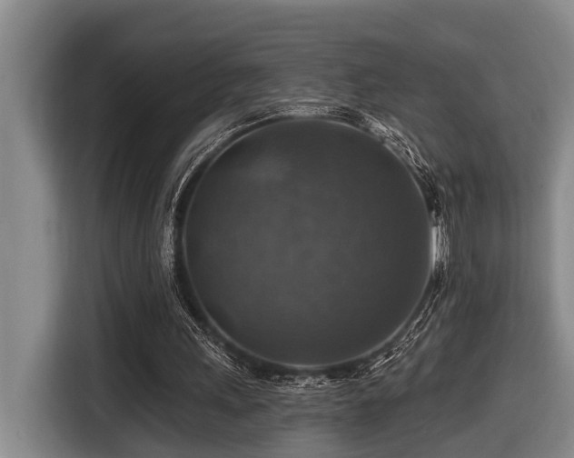 X0000116450243200912081624