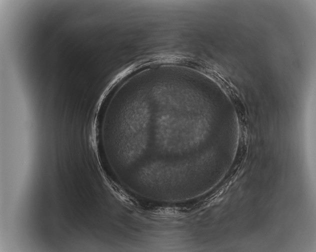 X0000116450244200912081624