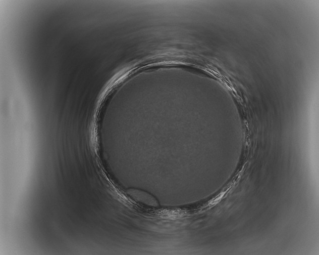 X0000116450245200912081624